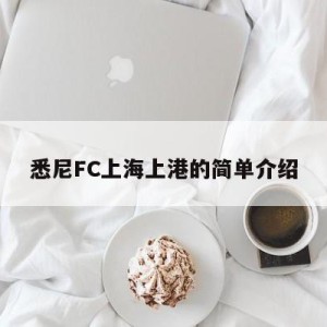 悉尼FC上海上港的简单介绍