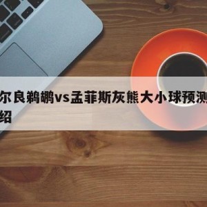 新奥尔良鹈鹕vs孟菲斯灰熊大小球预测的简单介绍