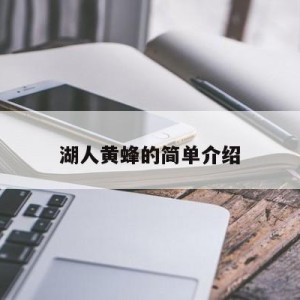 湖人黄蜂的简单介绍