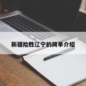 新疆险胜辽宁的简单介绍